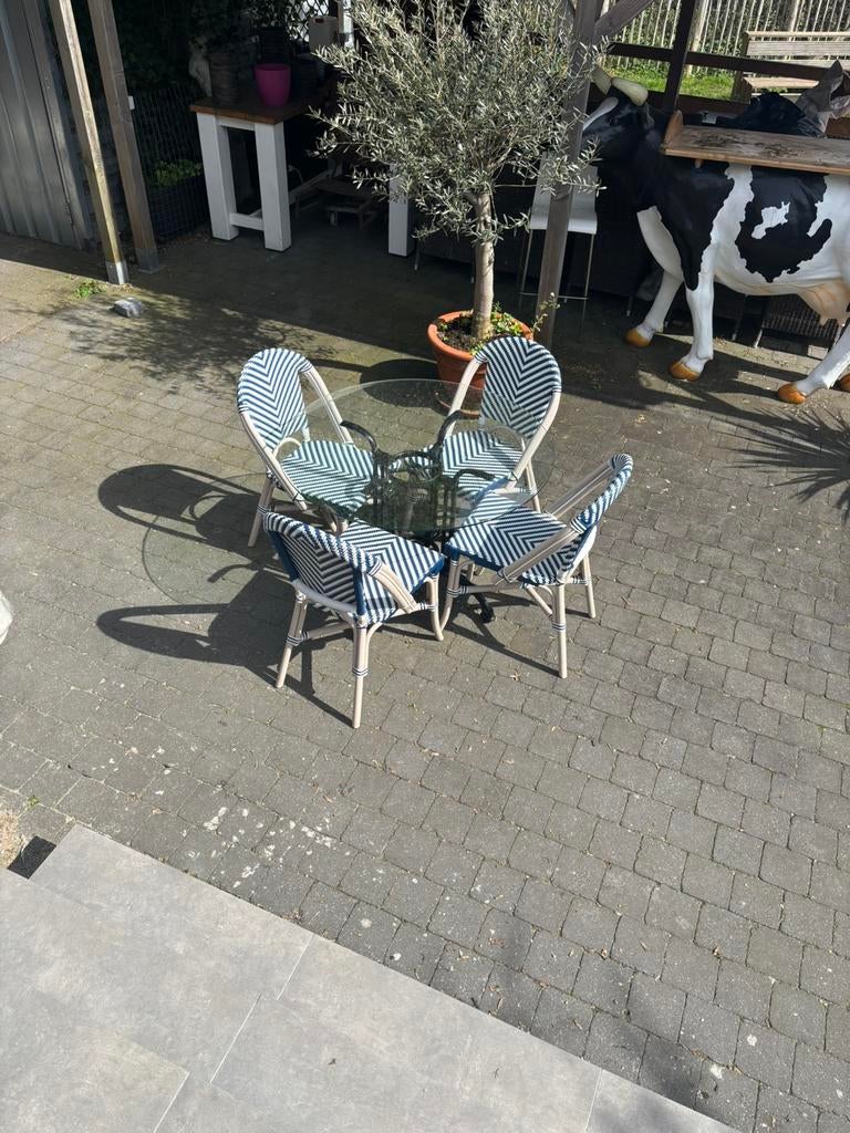 Terras tafel met 4 stoelen, Ophalen, 4 zitplaatsen, Kunststof, Zo goed als nieuw