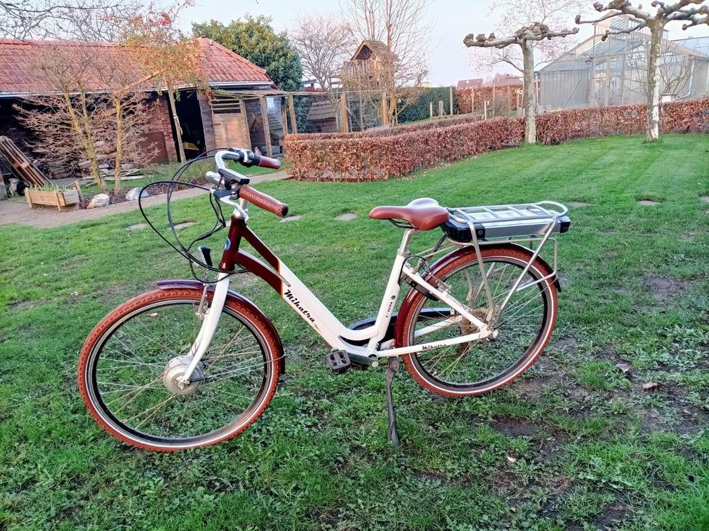 Elektrische fiets, Fietsen en Brommers, Elektrische fietsen, Ophalen