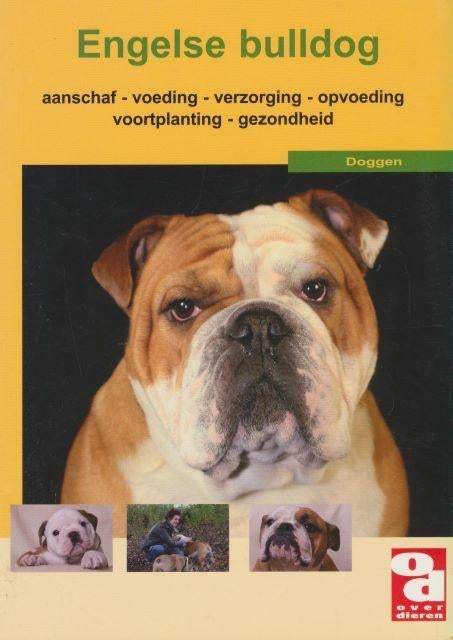 (d34) Engelse Bulldog, Livres, Animaux & Animaux domestiques, Utilisé, Envoi