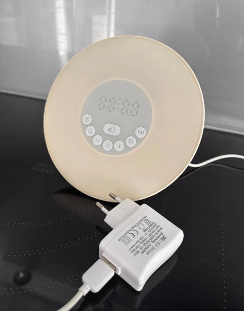 Wekkerradio met wake up light, Electroménager, Réveils, Enlèvement, Comme neuf