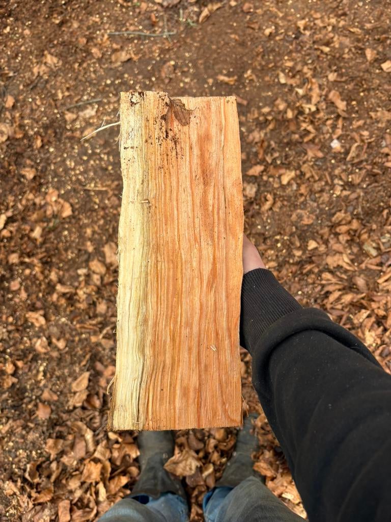 Verse vogel kers, 6 m³ ou plus, Enlèvement, Autres essences de bois, Bûches