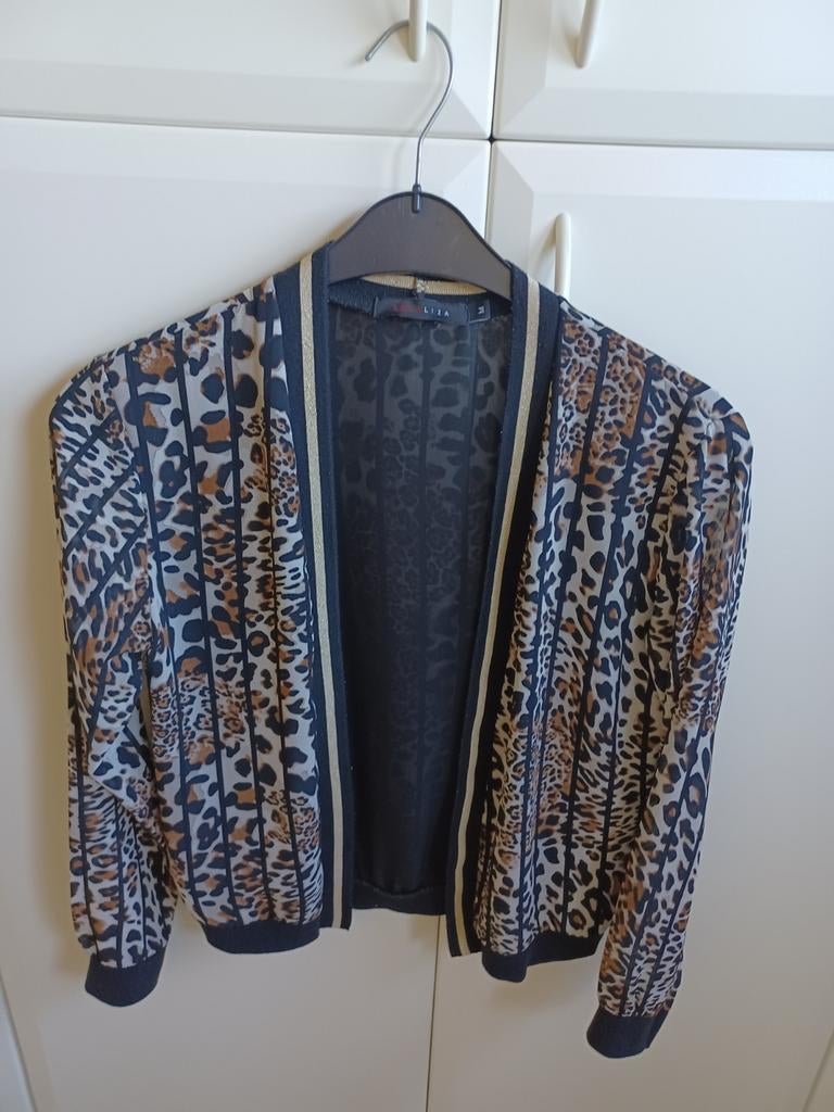 Bloesjasje, Kleding | Dames, Ophalen