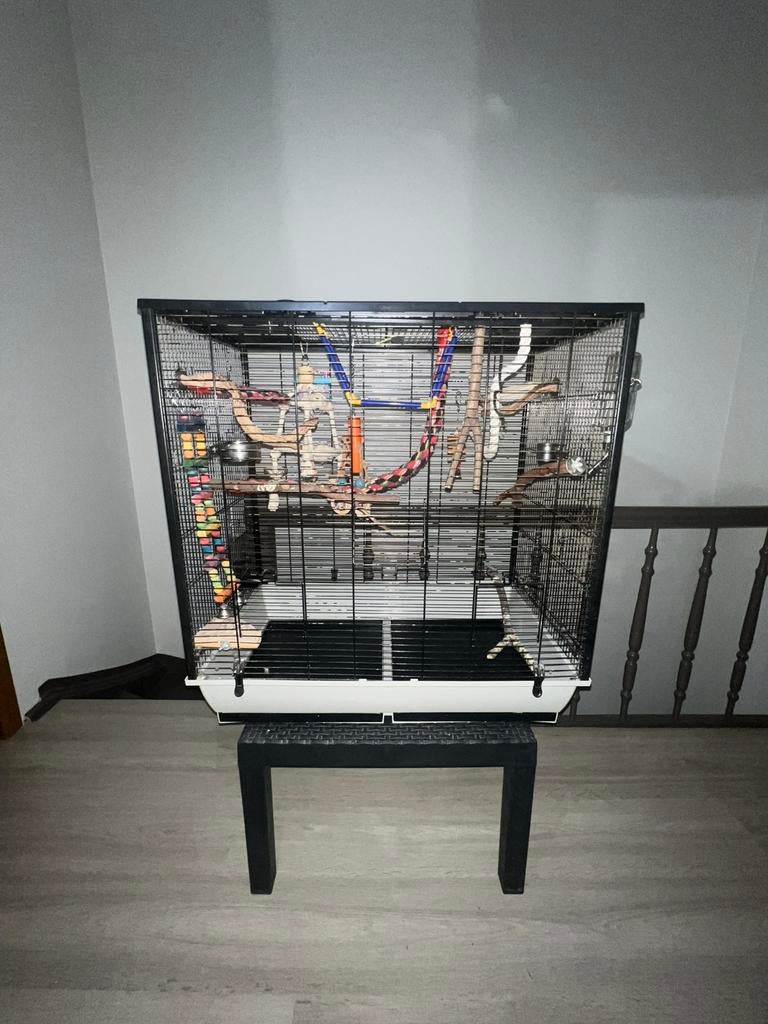 Cage à oiseaux, Animaux & Accessoires, Oiseaux | Cages & Volières, Comme neuf, Cage à oiseaux, Enlèvement