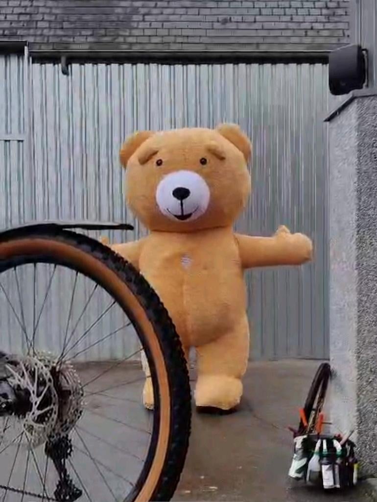 Carnaval kostuum beer opblaasbaar, Ophalen