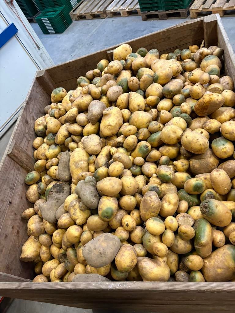 Voederaardappelen, Ophalen