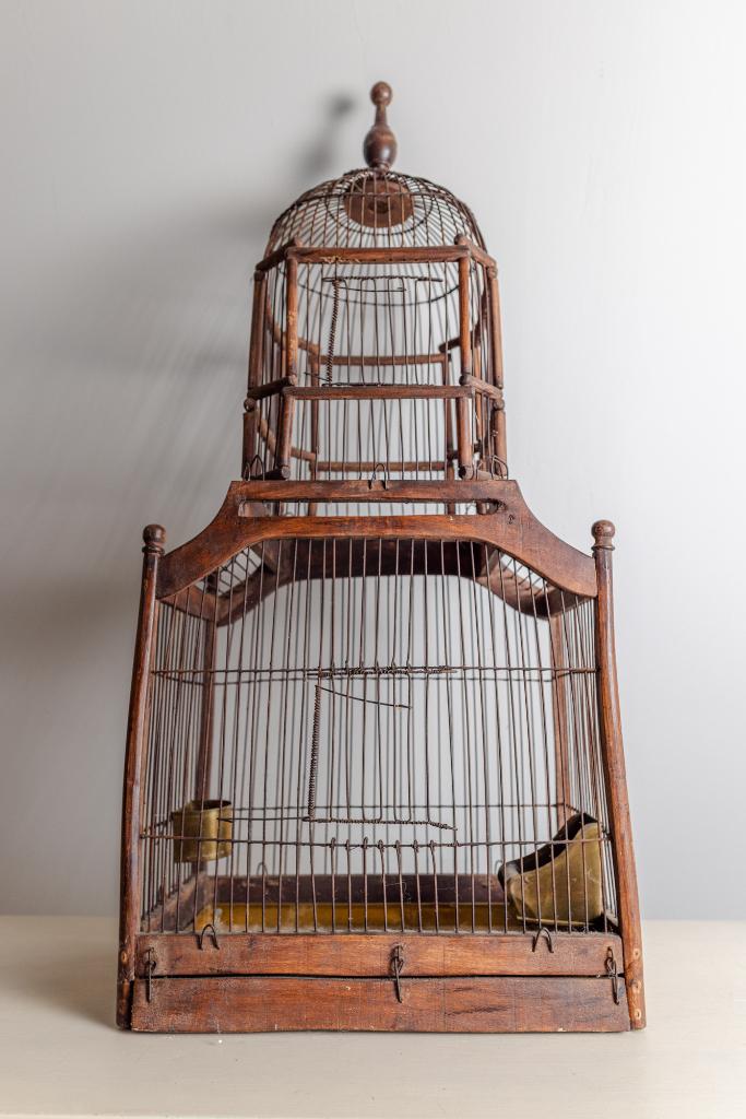 Victoriaans Vogelkooi - 19de eeuw, Enlèvement
