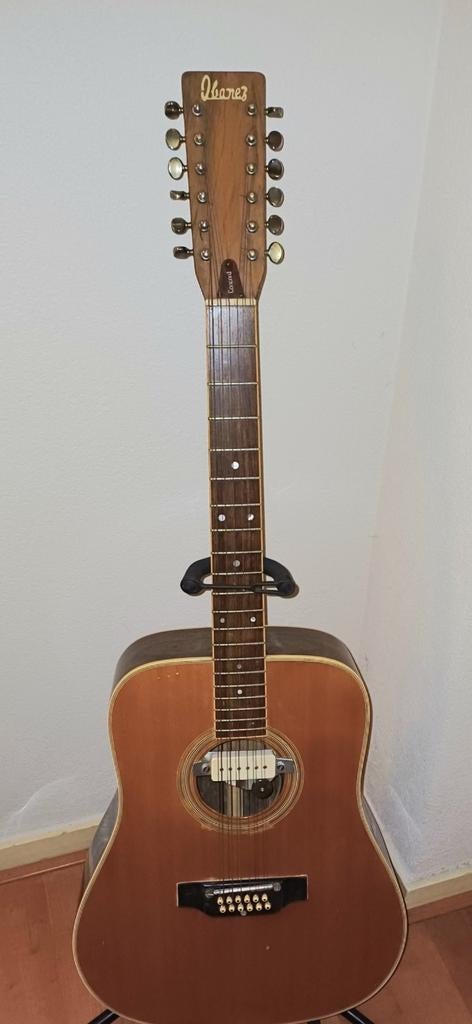 Ibanez concord 12 string gitaar uit 1974, Ophalen