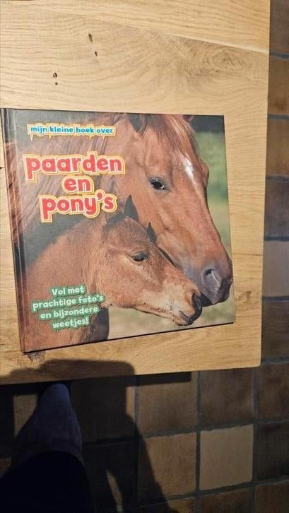 Camilla de la Bédoyère - Paarden en pony's, Ophalen of Verzenden, Zo goed als nieuw, Camilla de la Bédoyère