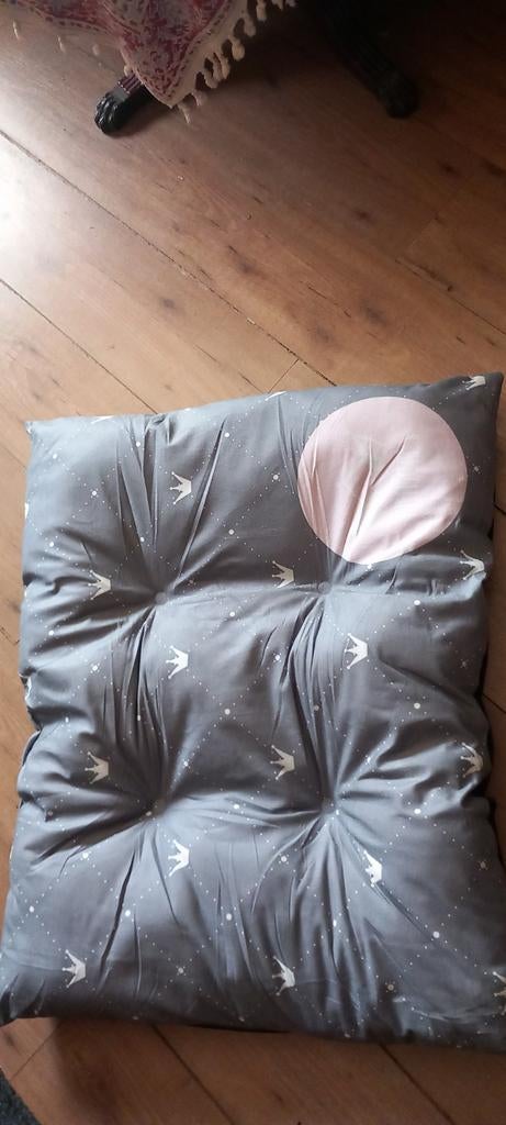 Coussin pour grand chien, Enlèvement