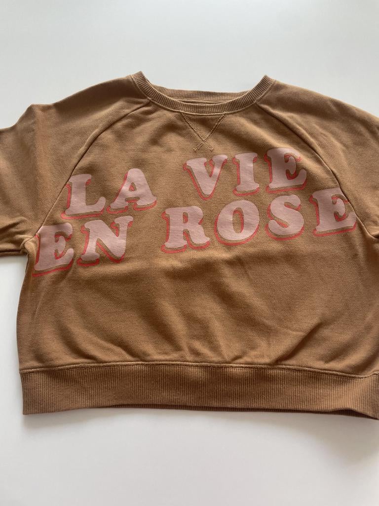 Bruine sweater van Fish & Chips maat 140, Kinderen en Baby's, Kinderkleding | Maat 140, Fish & Chips, Meisje, Trui of Vest, Ophalen of Verzenden