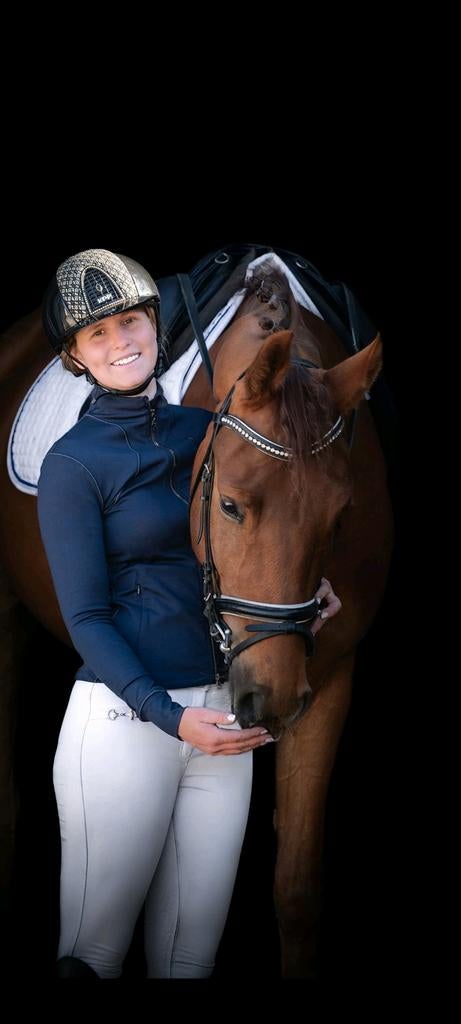 Zadelmak maken & training paarden / grote pony’s (min. 1m50), Dieren en Toebehoren, Ophalen