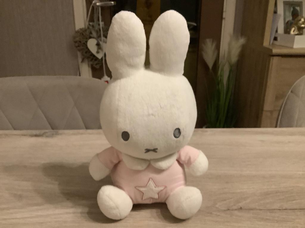 Nijntje pluche character (25 cm) (Rammelaar), Overige merken, Konijn, Nijntje, Ophalen of Verzenden