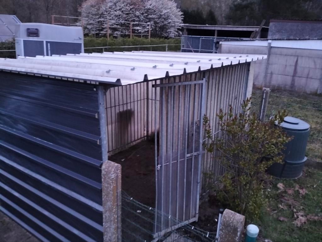 Hondenren, Animaux & Accessoires, Enlèvement