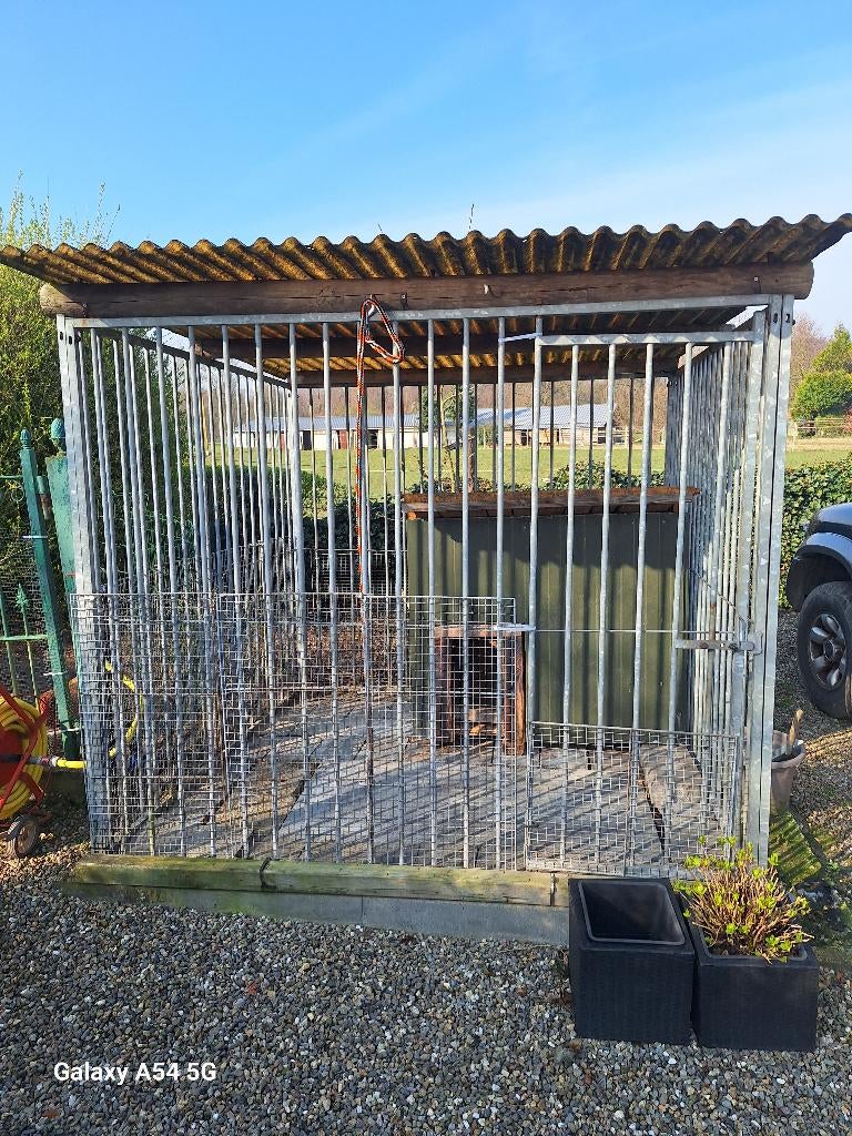 hondenren, Dieren en Toebehoren, Ophalen, Hondenkennel, 100 cm of meer, 110 cm of meer