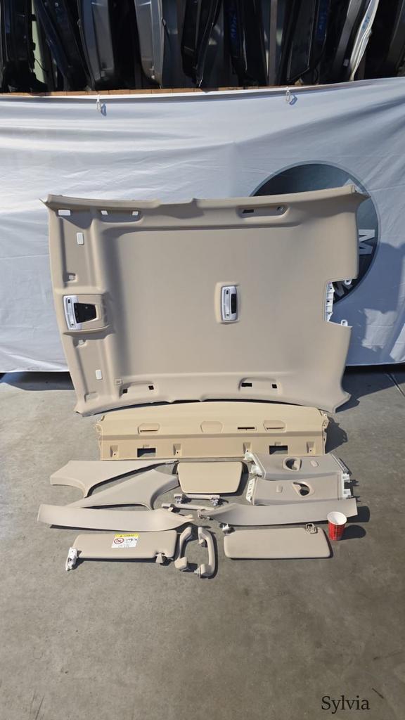 Dakhemel hemelbekleding en hoedenplank beige BMW 3 serie F30, Auto-onderdelen, Gebruikt, -, -, Ophalen of Verzenden