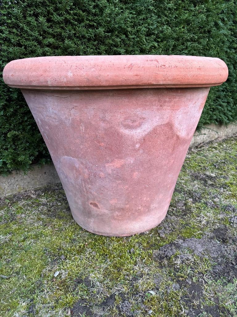 Hele Grote Ugo Poggi Impruneta Terracotta Bloempot, Tuin en Terras, Bloempotten, Gebruikt, Terracotta, Balkon, Tuin, 40 tot 70 cm