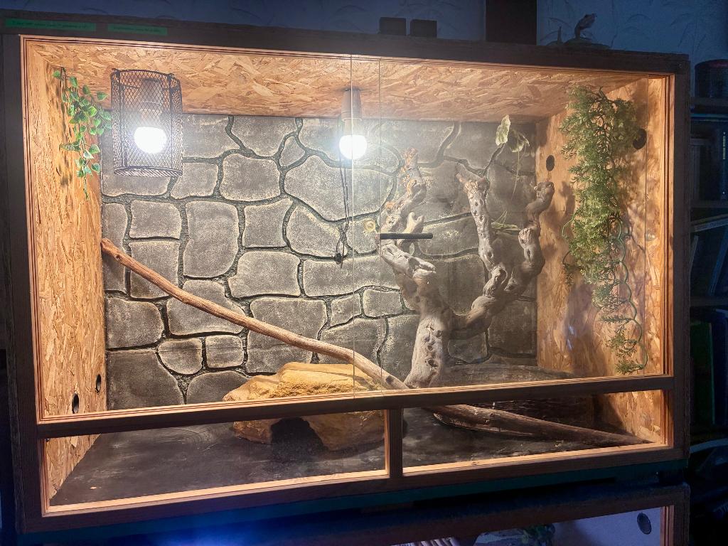 Grand terrarium serpent, Enlèvement, Utilisé, Terrarium ou Paludarium