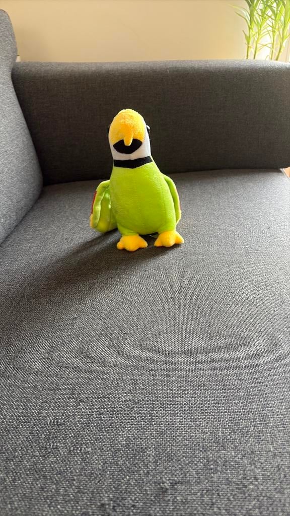 Een papegaaien knuffel, Ophalen, Zo goed als nieuw