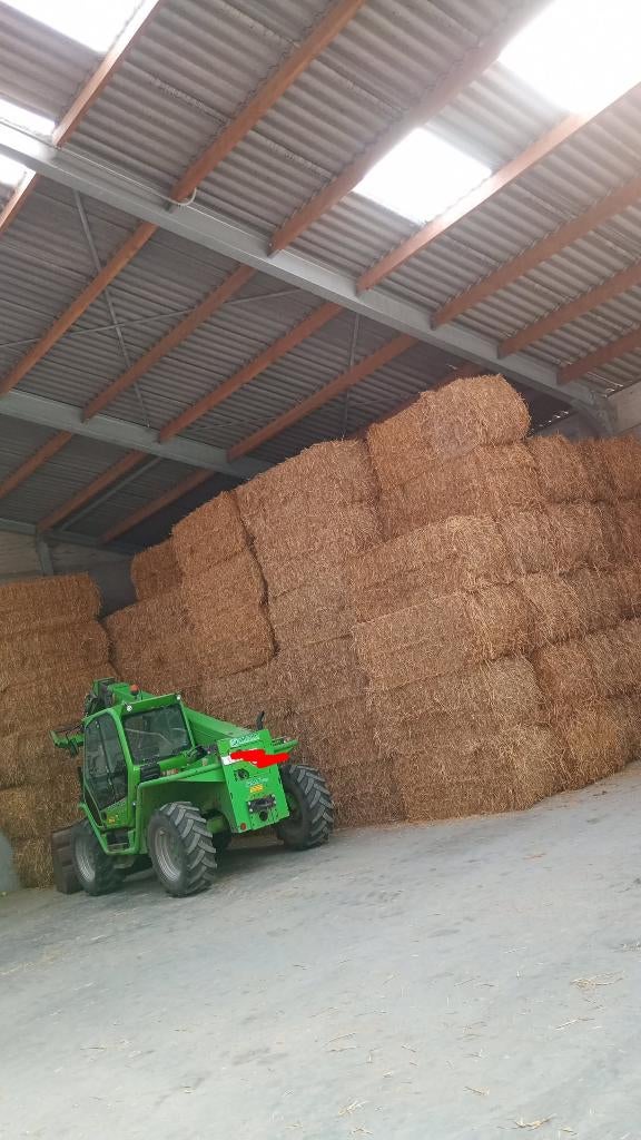 Tarwestro, Dieren en Toebehoren, Dierenvoeding, Ophalen, Vee