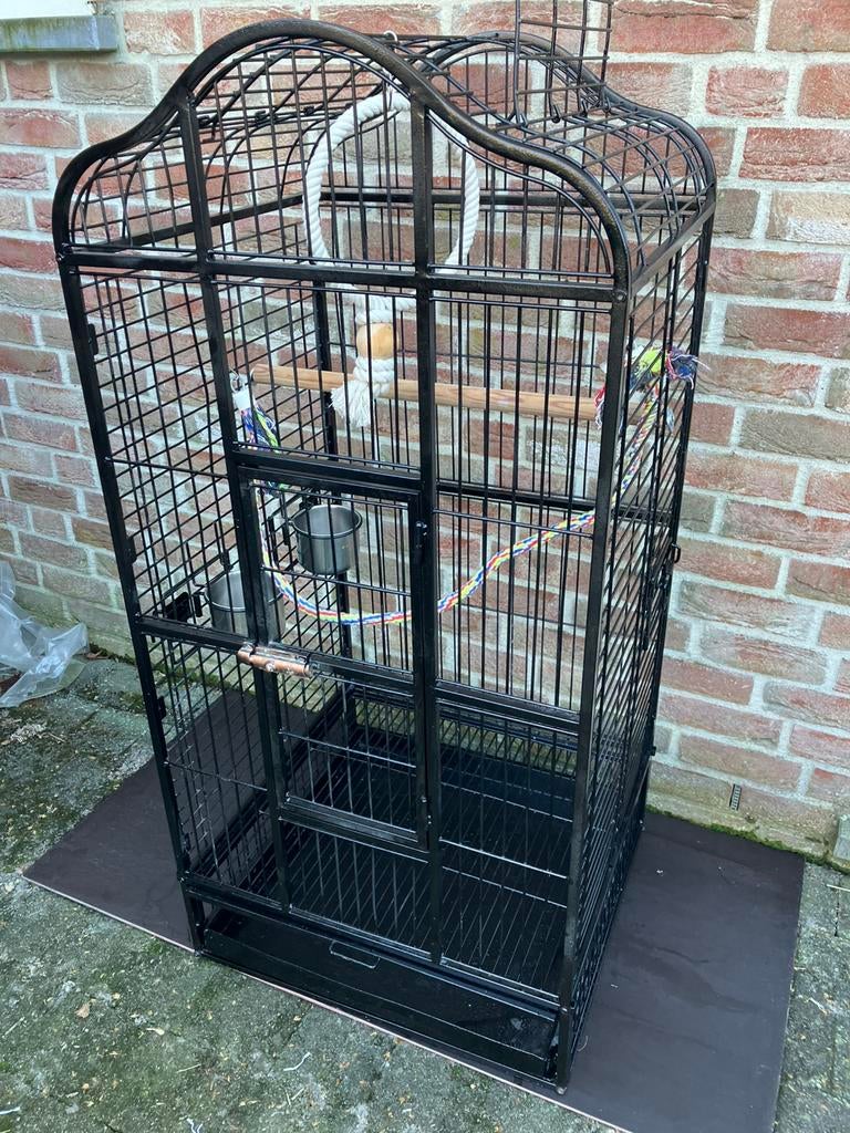 ZWARTE PAPEGAAIENKOOI M OPEN DAK EN TOEBEHOREN NU  130 EURO, Ophalen, Zo goed als nieuw, Metaal, Volière