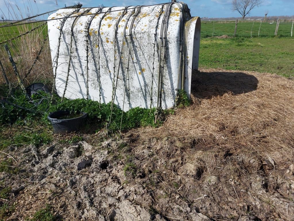 Iglo schuilhouden te koop.