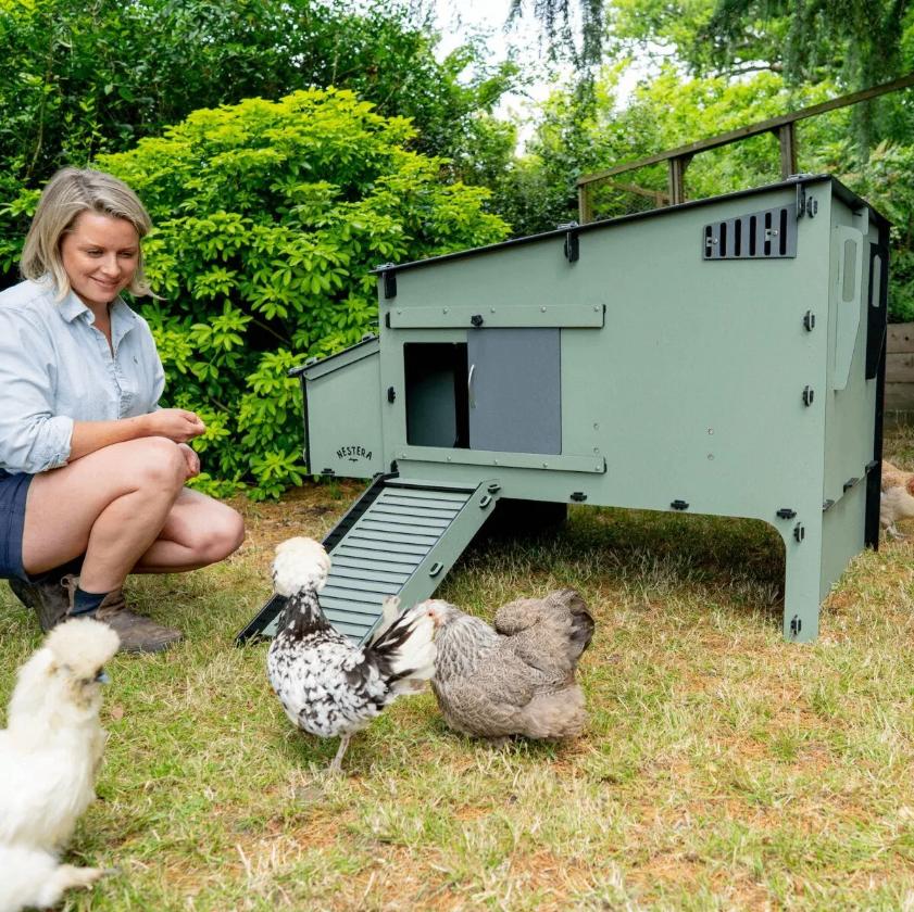 Nestera The Aspen 10, Enlèvement ou Envoi, Neuf, Poulailler