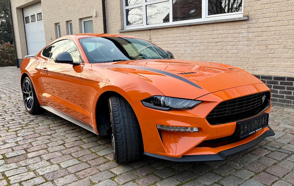 Ford Mustang 2.3 EcoBoost Fifty Five Years ### 16000 km ###, Cuir, https://public.car-pass.be/vhr/42fb890f-6003-432d-aa15-5c940b6f1f05