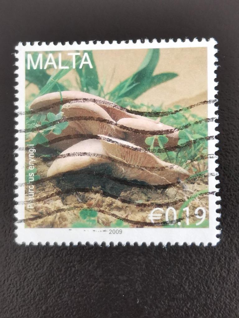 Malta 2009 - champignons - Pleurote chardon, Enlèvement ou Envoi, Malte, Affranchi