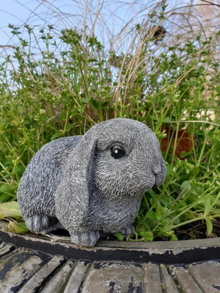 konijn ,klein konijn met hangoren, Enlèvement ou Envoi, Neuf
