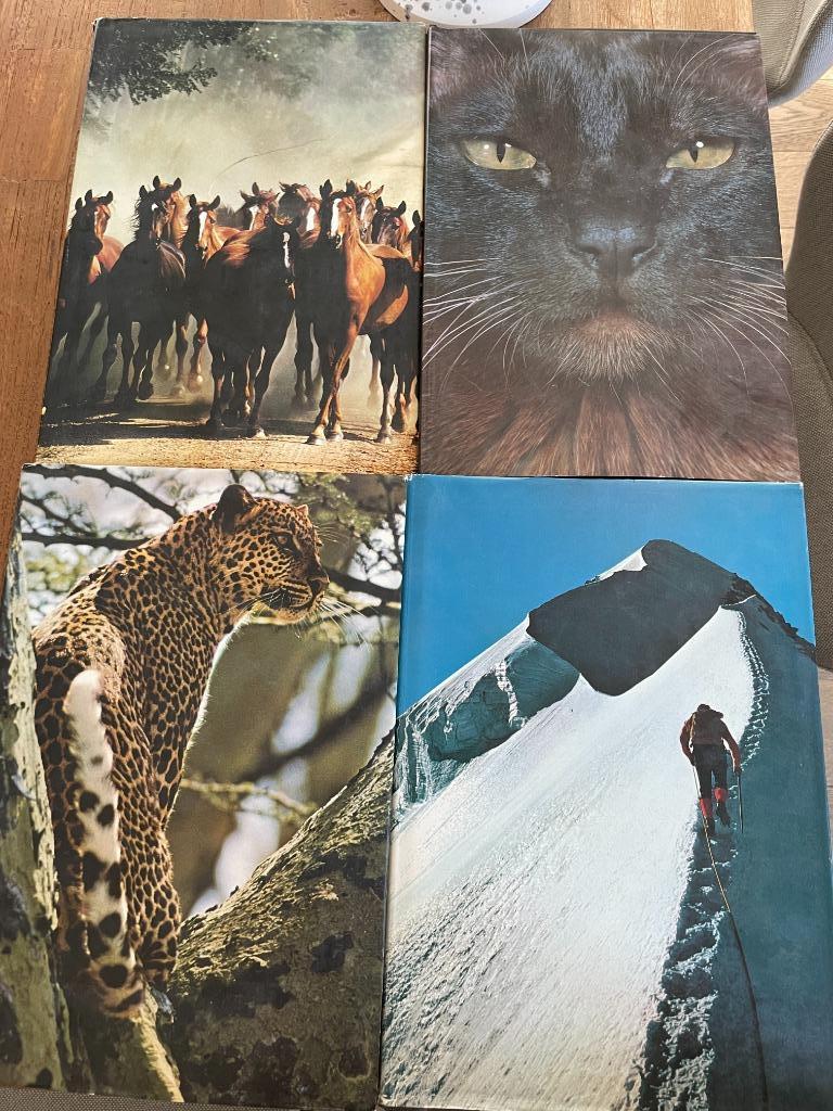 Artis historia 4 livres (en français), Enlèvement ou Envoi, Utilisé, Artis Historia, Livre d'images