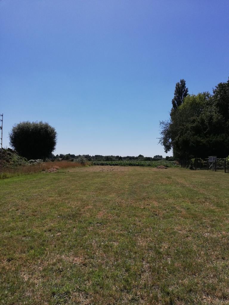 Bouwgrond Herne, Immo, Gronden en Bouwgronden