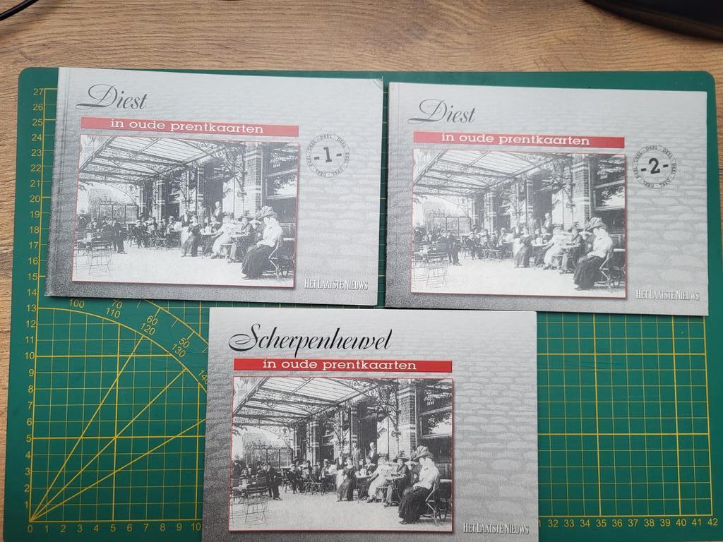 Diest & Scherpenheuvel in oude prentkaarten, Enlèvement ou Envoi, Utilisé