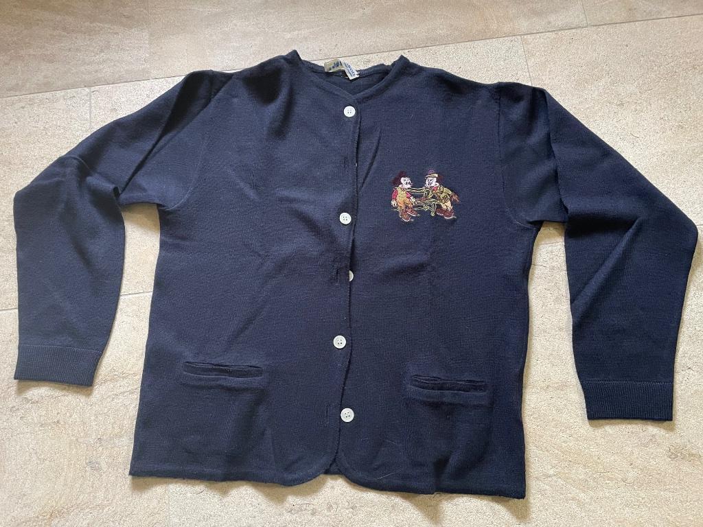 Mooi donkerblauw vestje, golf, pull “ Donaldson”, Kleding | Dames, Maat 38/40 (M), Blauw, Donaldson, Ophalen of Verzenden