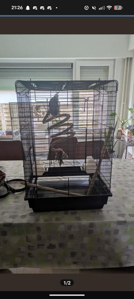 Vogel kooi gebruikt voor 2 parkieten, Dieren en Toebehoren, Ophalen of Verzenden