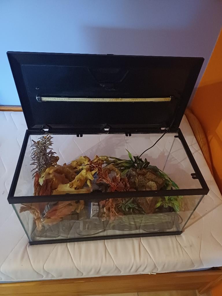 Aquarium avec accessoires, Animaux & Accessoires, Poissons | Aquariums & Accessoires, Aquarium vide, Chauffage, Enlèvement, Utilisé