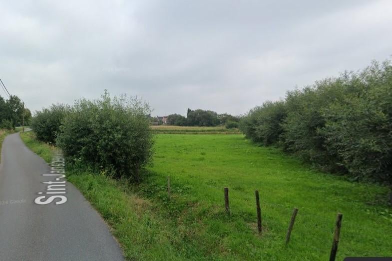 Zomerweide voor pony,paard,,… te gebruiken, Dieren en Toebehoren, Weidegang, 1 paard of pony