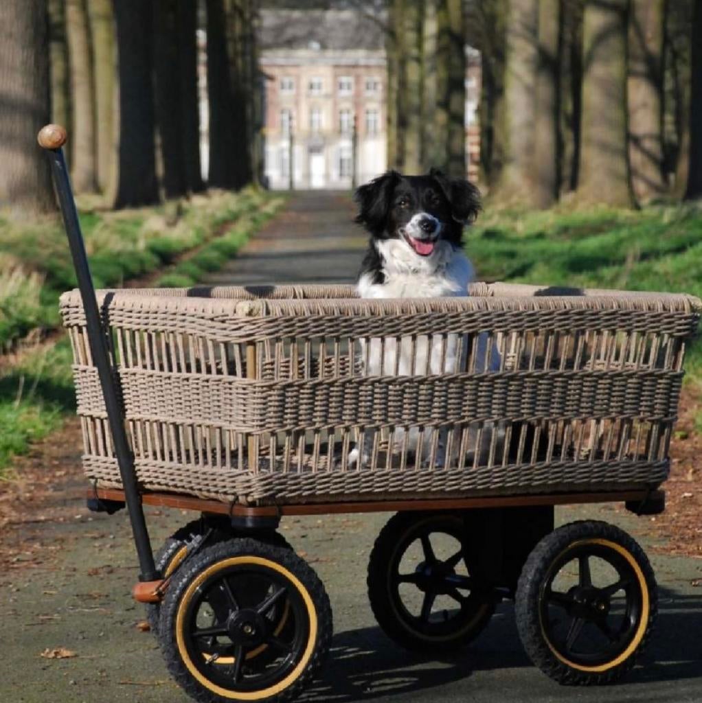 Houtkar / wagon / wagen / handkarren Trade-Winds als nieuwe, Tuin en Terras, Overige Tuin en Terras, Nieuw, Ophalen
