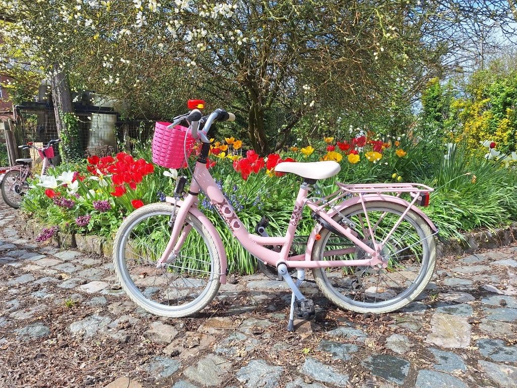 2 x  20 inch roze Bike Fun  "Lots of Love", 150 Euro/st, Ophalen, Versnellingen, Zo goed als nieuw, BikeFun Kids (BFK)