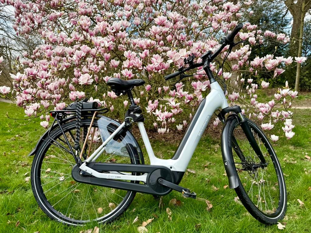 E-Bike Bosch Batavus Finez E-go Power 53CM 500Wh +100 km, 51 à 55 cm, Batavus, 50 km par batterie ou plus, Enlèvement