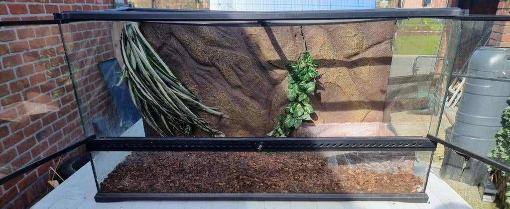 Exo terrarium, Dieren en Toebehoren, Ophalen, Verlichting