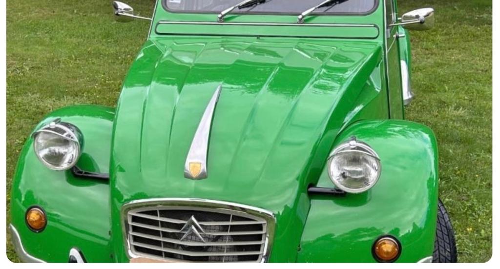 Citroen 2cv Dyane DS Mascotte ROBRI de Capot chrome Oldtimer, Autos : Pièces & Accessoires, Enlèvement