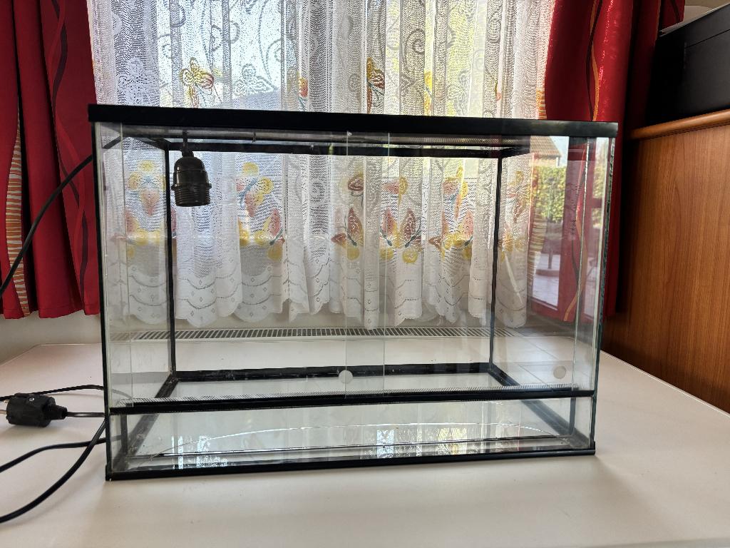 Terrarium 50 x 30 x 35 cm, Animaux & Accessoires, Enlèvement, Utilisé, Terrarium ou Paludarium