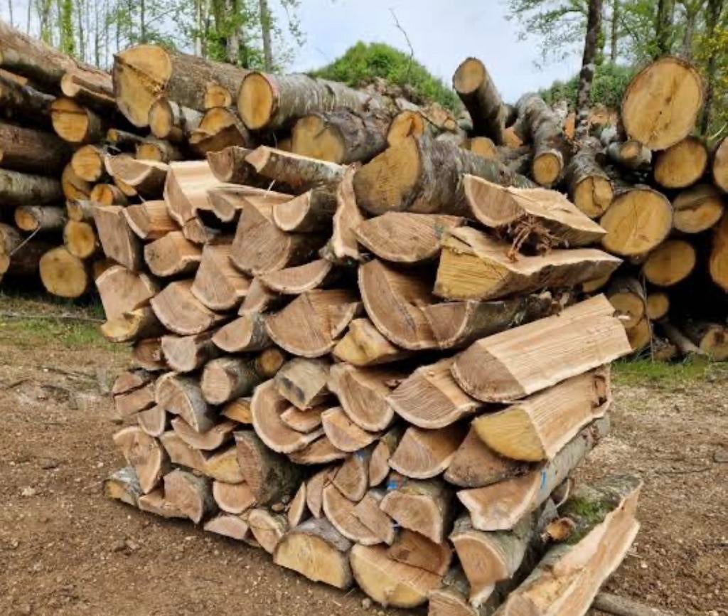 Bois de chauffage. 50€/stere, Enlèvement