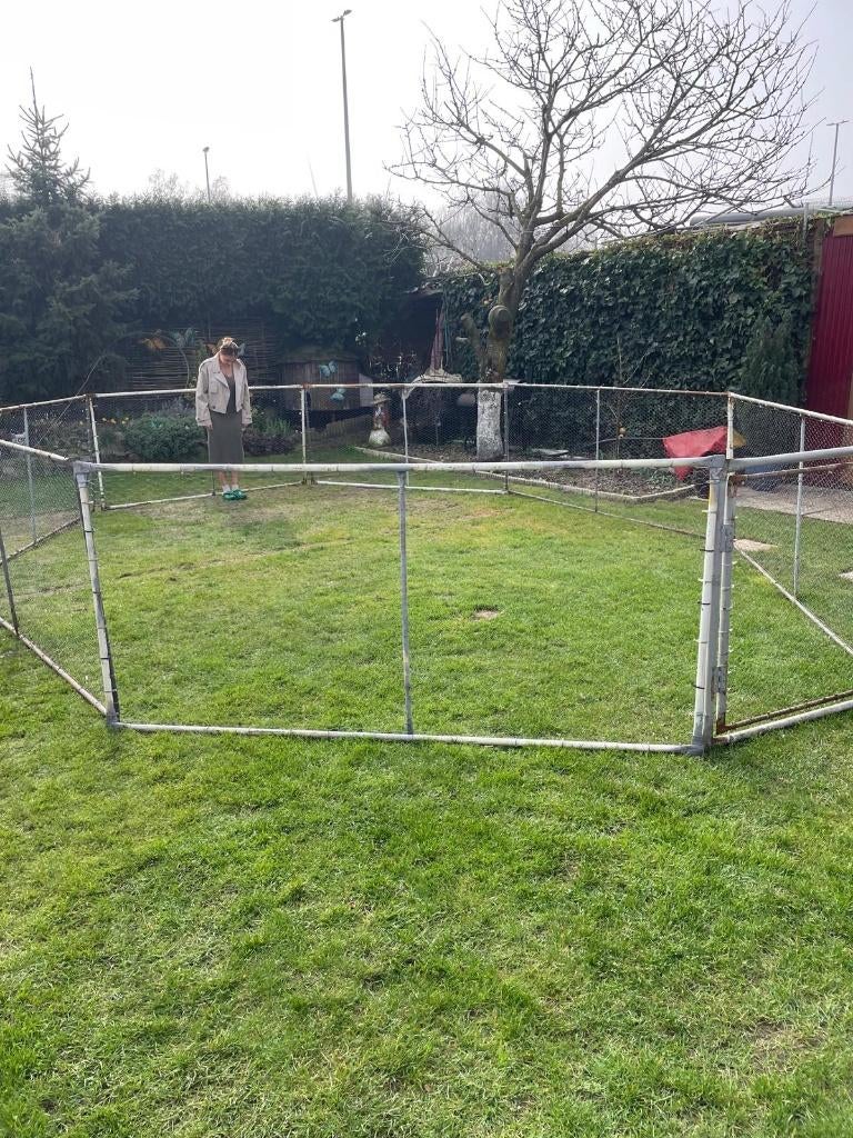 Dieren ren, Dieren en Toebehoren, Ophalen, Gebruikt, Ren