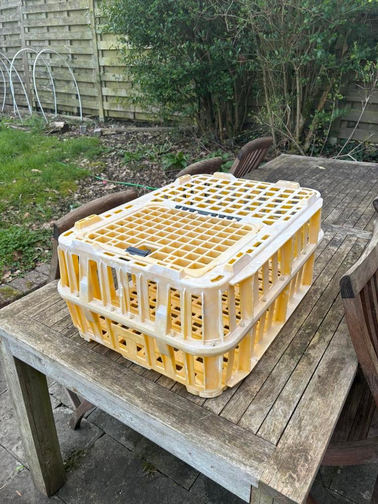 Transportbox voor pluimvee, Dieren en Toebehoren, Ophalen, Zo goed als nieuw