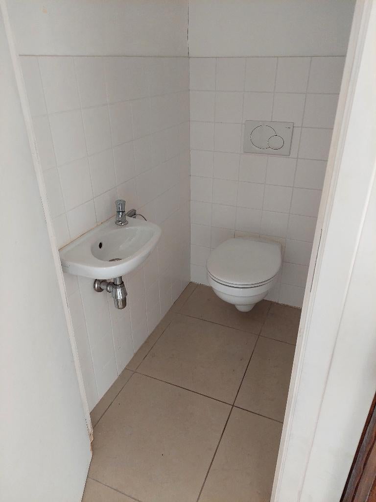 hang wc + handenwasser, Doe-het-zelf en Bouw, Ophalen, Gebruikt, Steen, Toilet