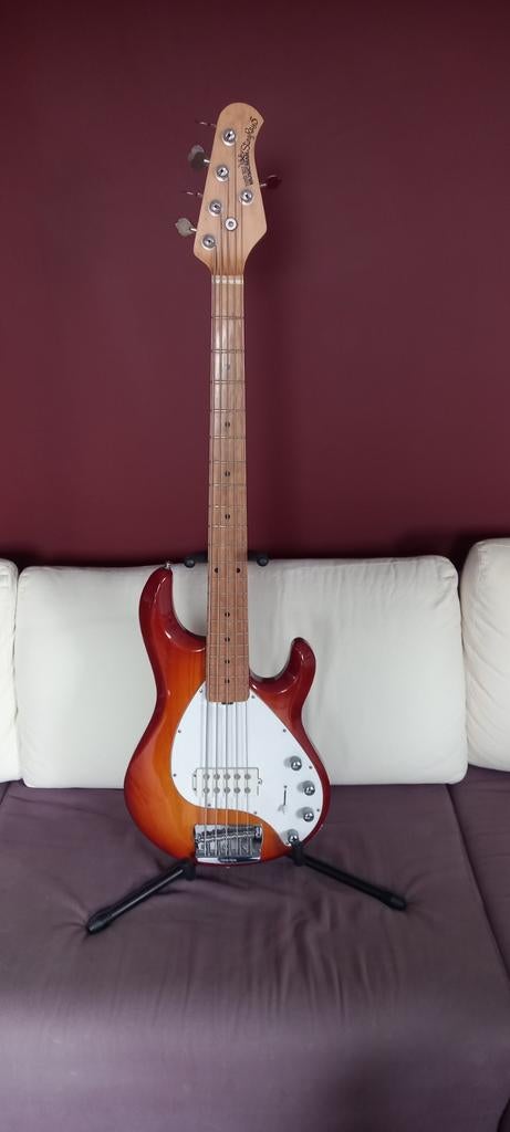 Musicman stingray5, Musique & Instruments, Instruments à corde | Guitares | Basses, Enlèvement