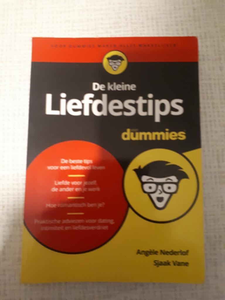 Conseils d'amour pour les nuls, Livres, Enlèvement ou Envoi, Comme neuf, Angele Nederlof & Sjaak Vane