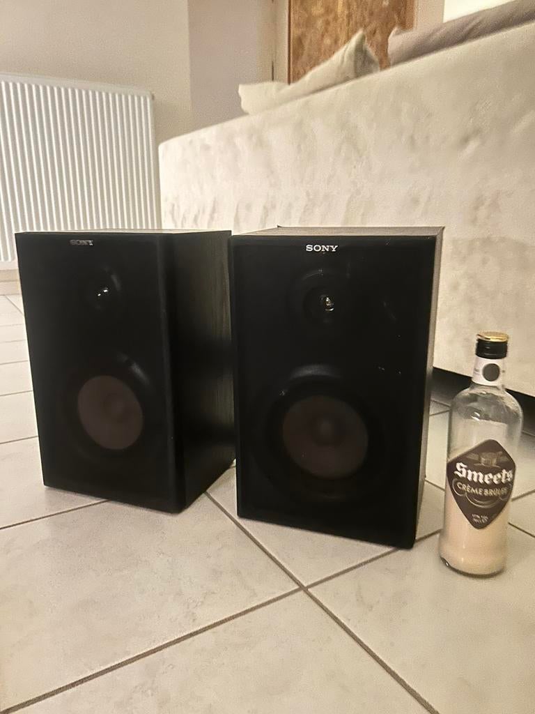 Grote Sony luidsprekers, Audio, Tv en Foto, Luidsprekerboxen, Ophalen, Sony