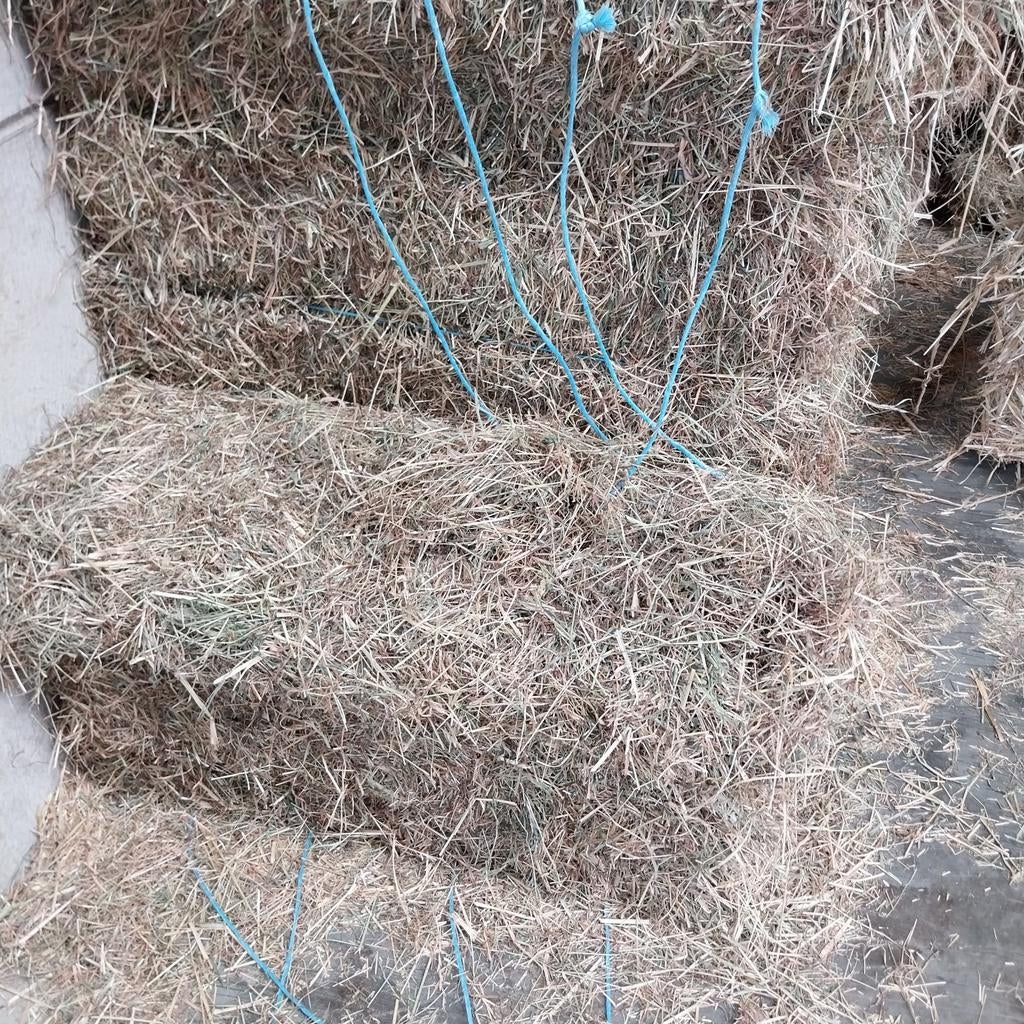 Hooi en stro, Enlèvement